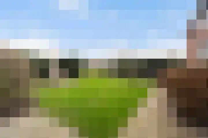 Maasdijk 58 Maasdijk thumbnail 35