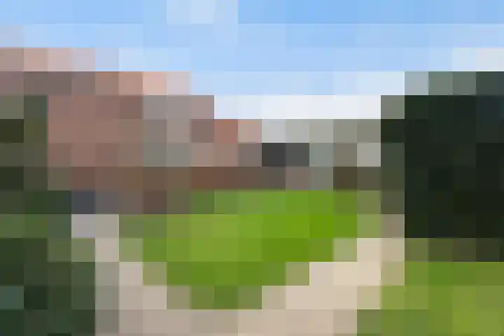Maasdijk 58 Maasdijk thumbnail 36
