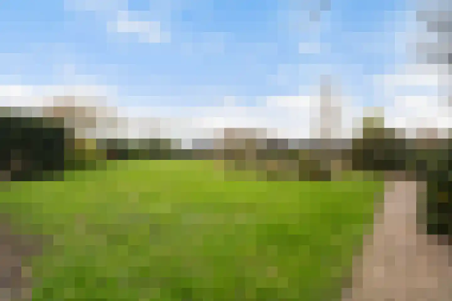 Maasdijk 58 Maasdijk thumbnail 37