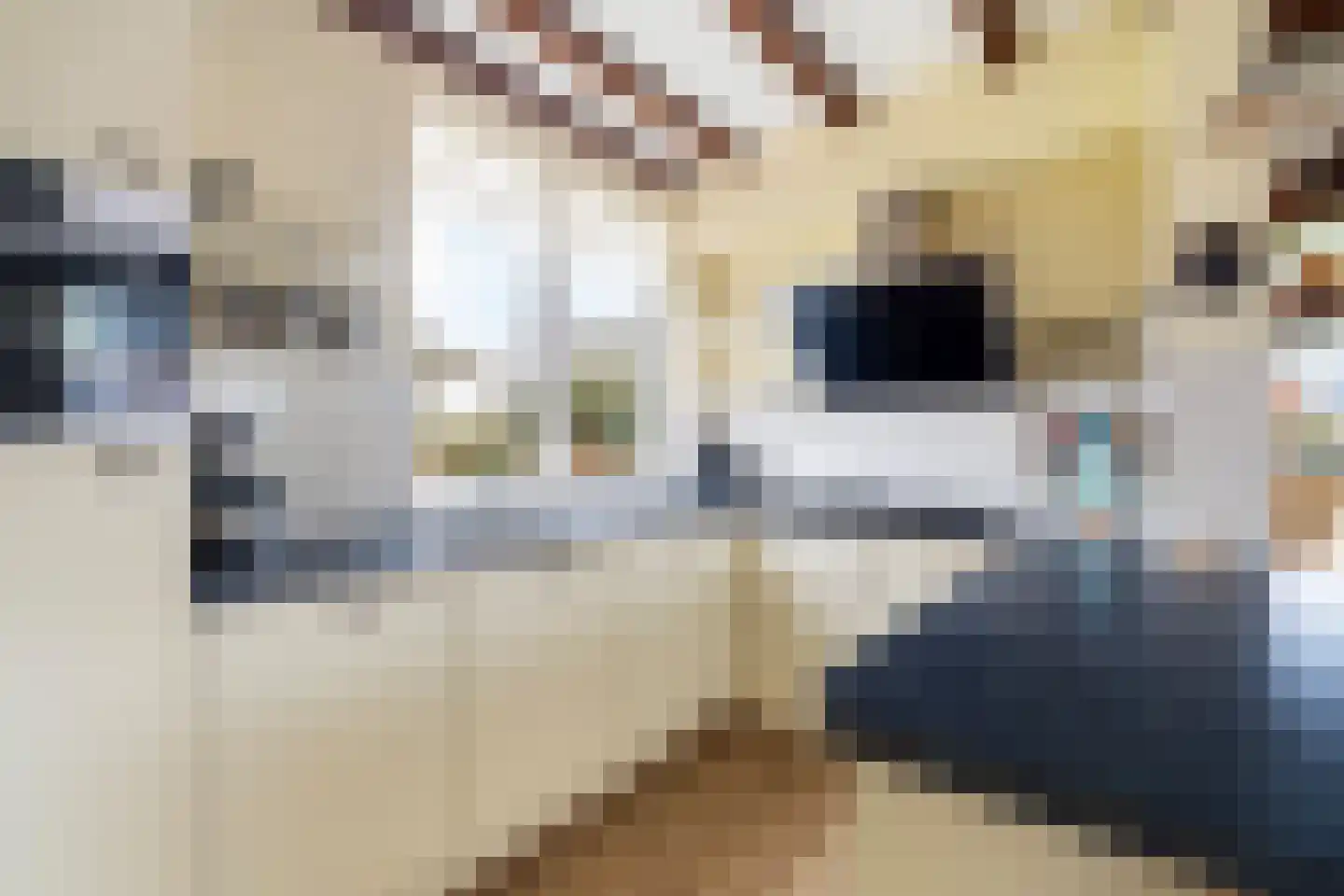 Maasdijk 58 Maasdijk thumbnail 4