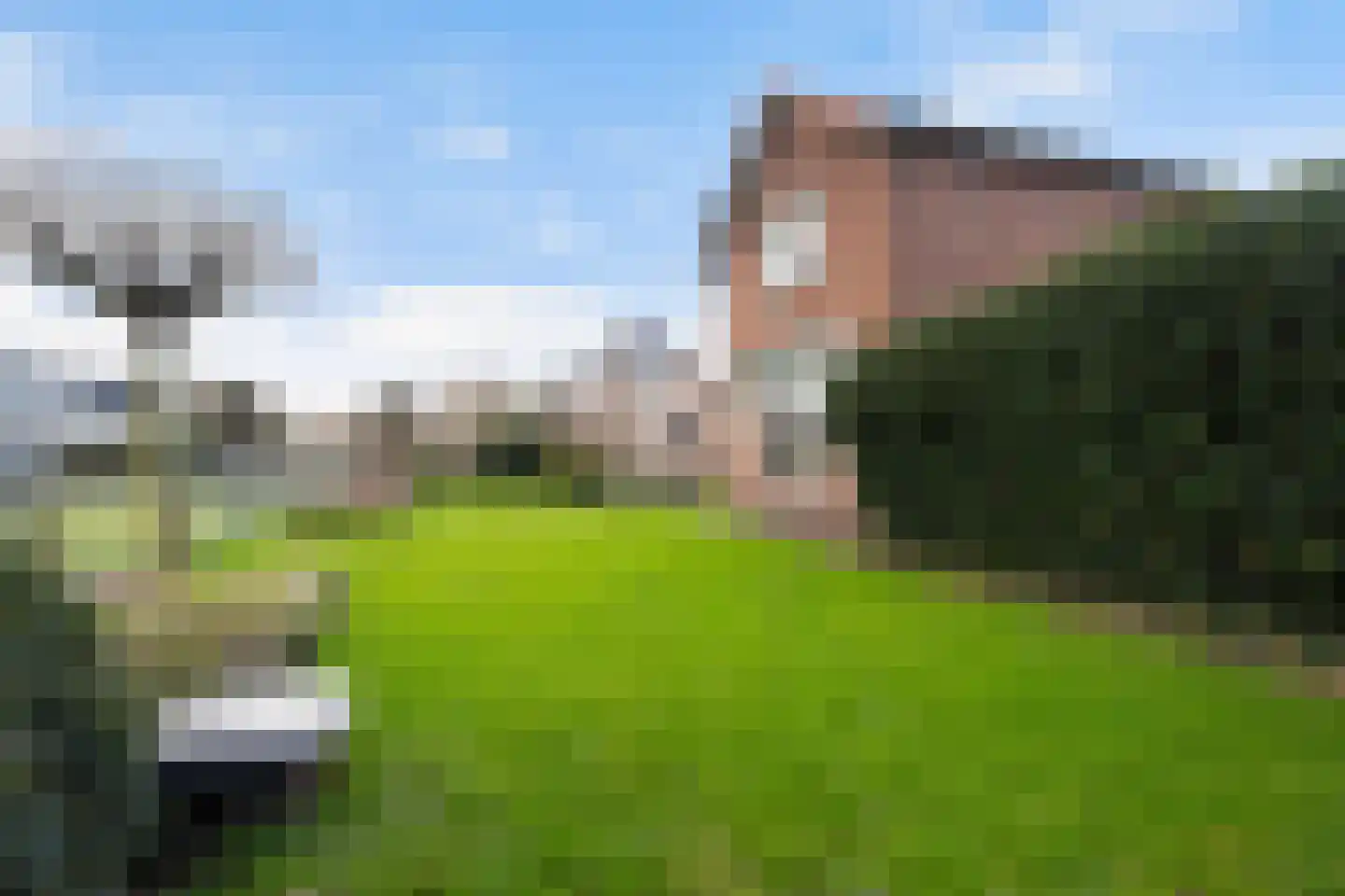 Maasdijk 58 Maasdijk thumbnail 41