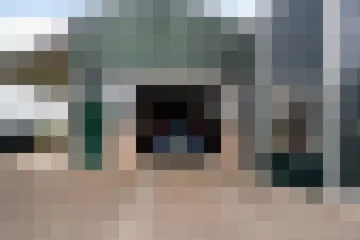 Maasdijk 58 Maasdijk thumbnail 43