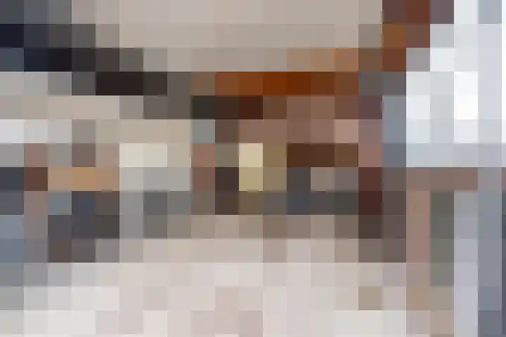 Maasdijk 58 Maasdijk thumbnail 45