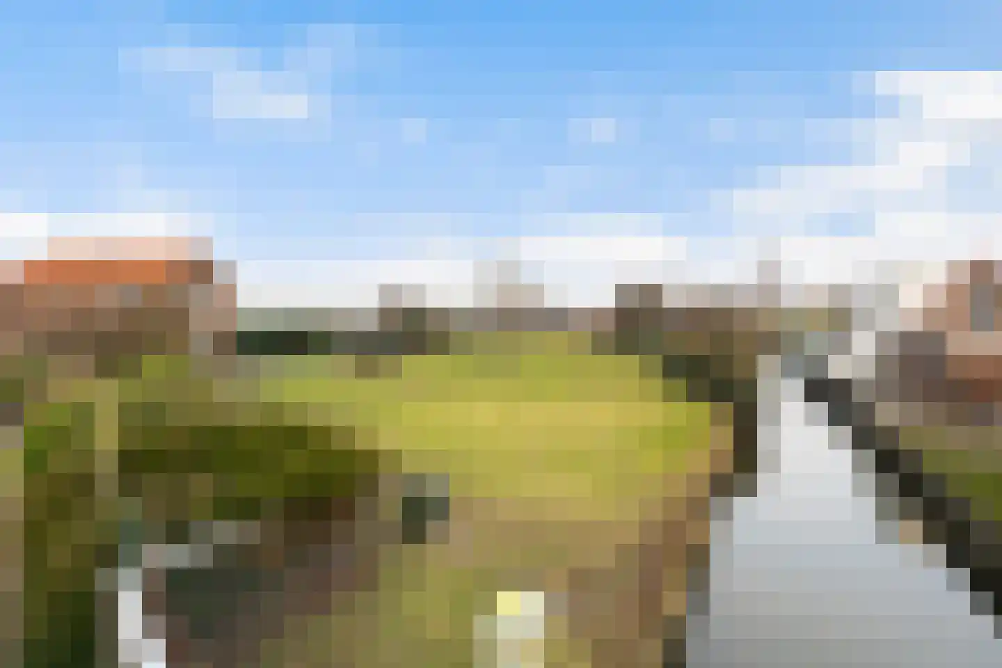 Maasdijk 58 Maasdijk thumbnail 6