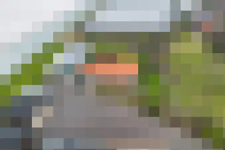 Maasdijk 58 Maasdijk thumbnail 7