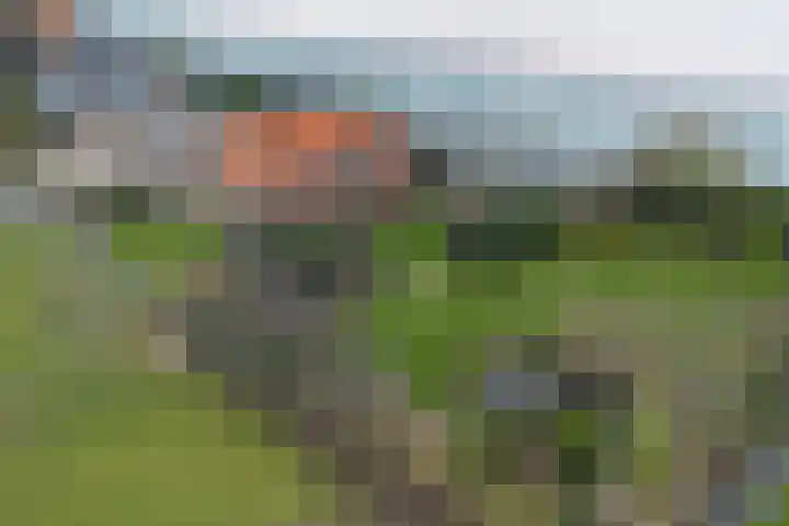 Maasdijk 58 Maasdijk thumbnail 9
