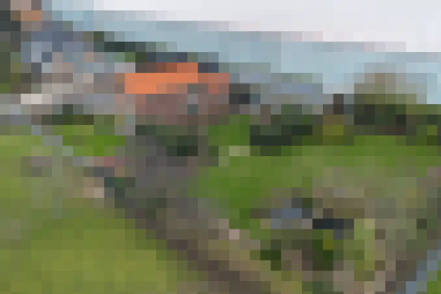 Maasdijk 58 Maasdijk thumbnail 9