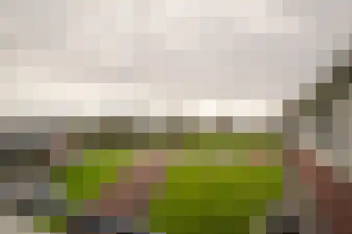 Maasdijk 60 d Rossum thumbnail 18