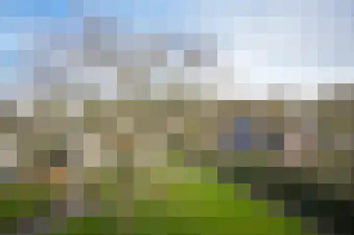 Maasdijk 60 d Rossum thumbnail 22