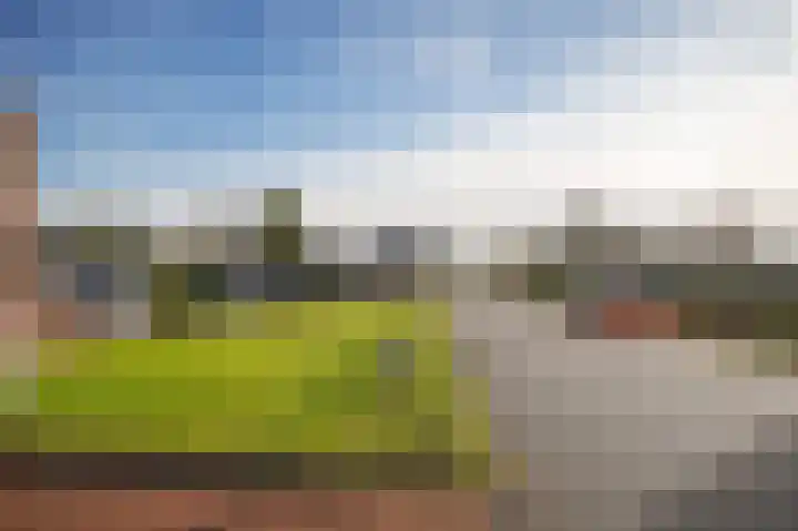 Maasdijk 60 d Rossum thumbnail 41