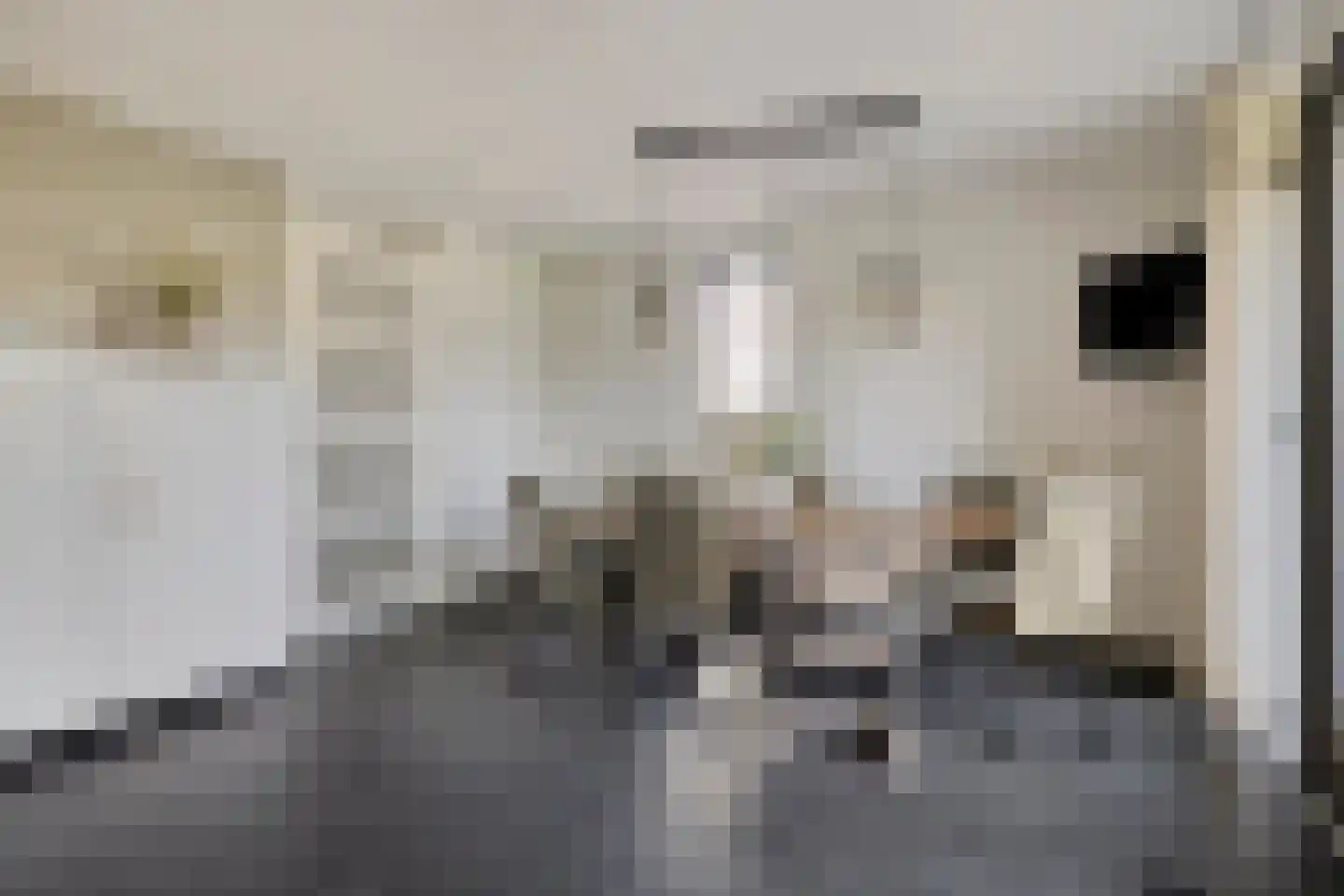 Maasdijk 61 Breda thumbnail 10