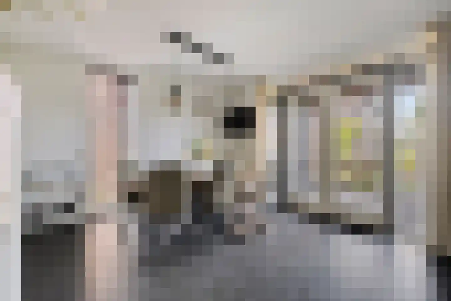 Maasdijk 61 Breda thumbnail 11