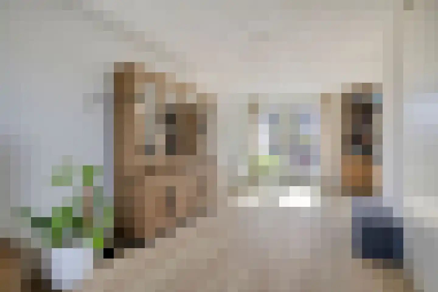 Maasdijk 61 Breda thumbnail 17