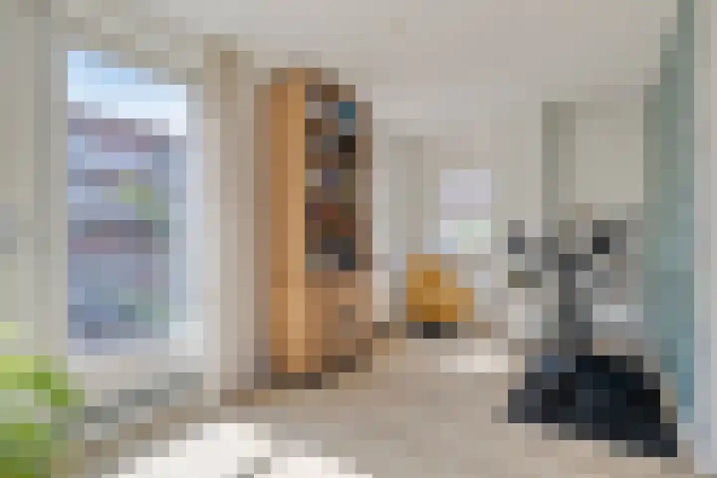 Maasdijk 61 Breda thumbnail 18