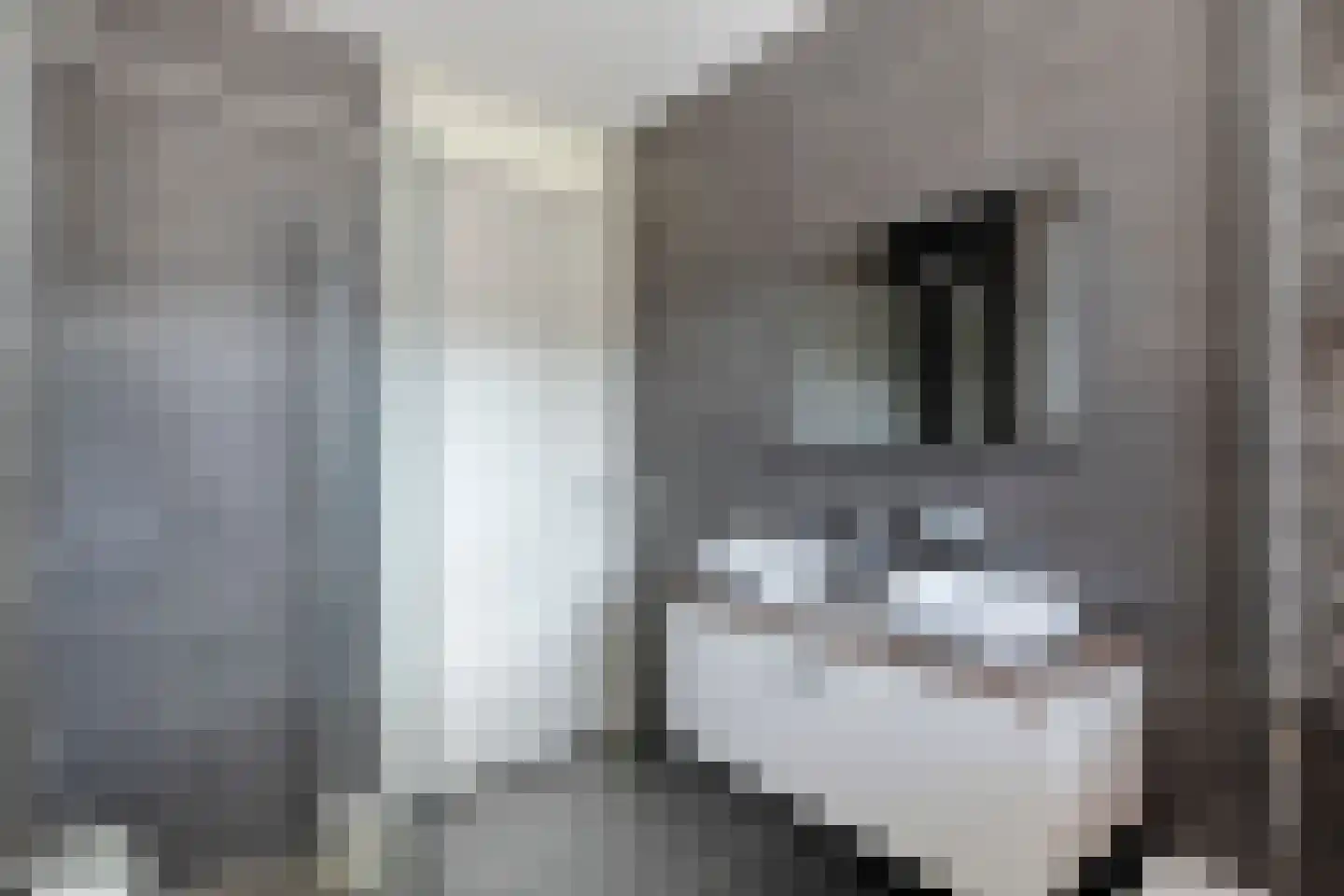 Maasdijk 61 Breda thumbnail 24
