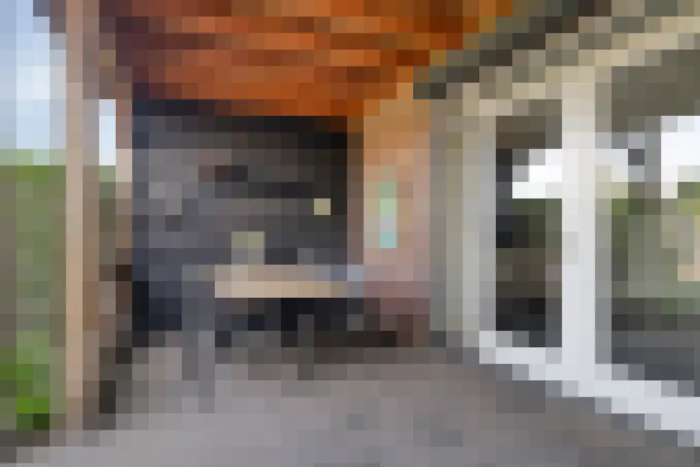 Maasdijk 61 Breda thumbnail 28