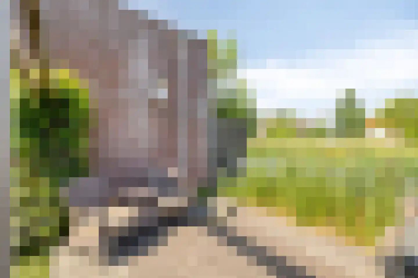 Maasdijk 61 Breda thumbnail 34