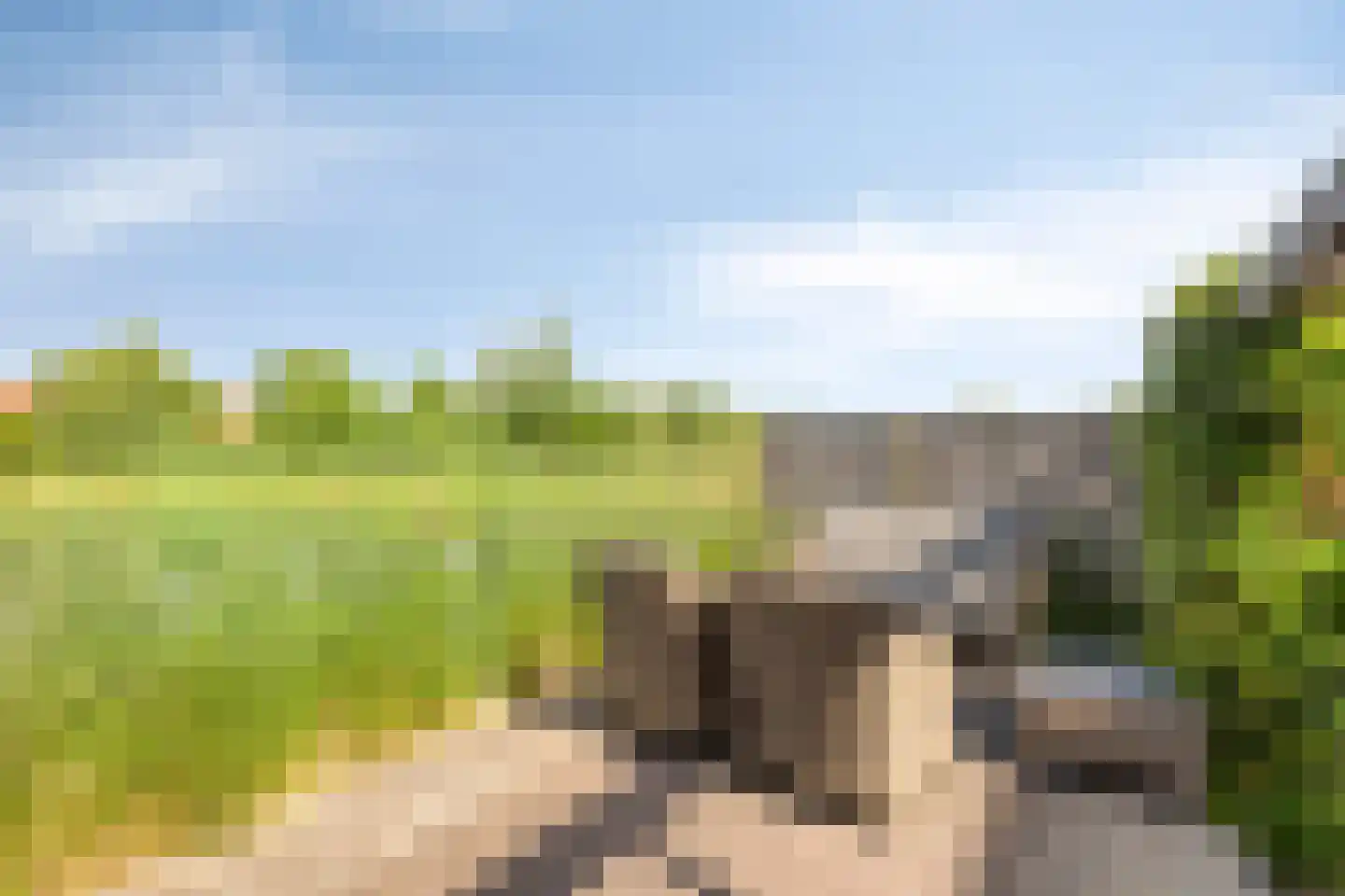 Maasdijk 61 Breda thumbnail 36