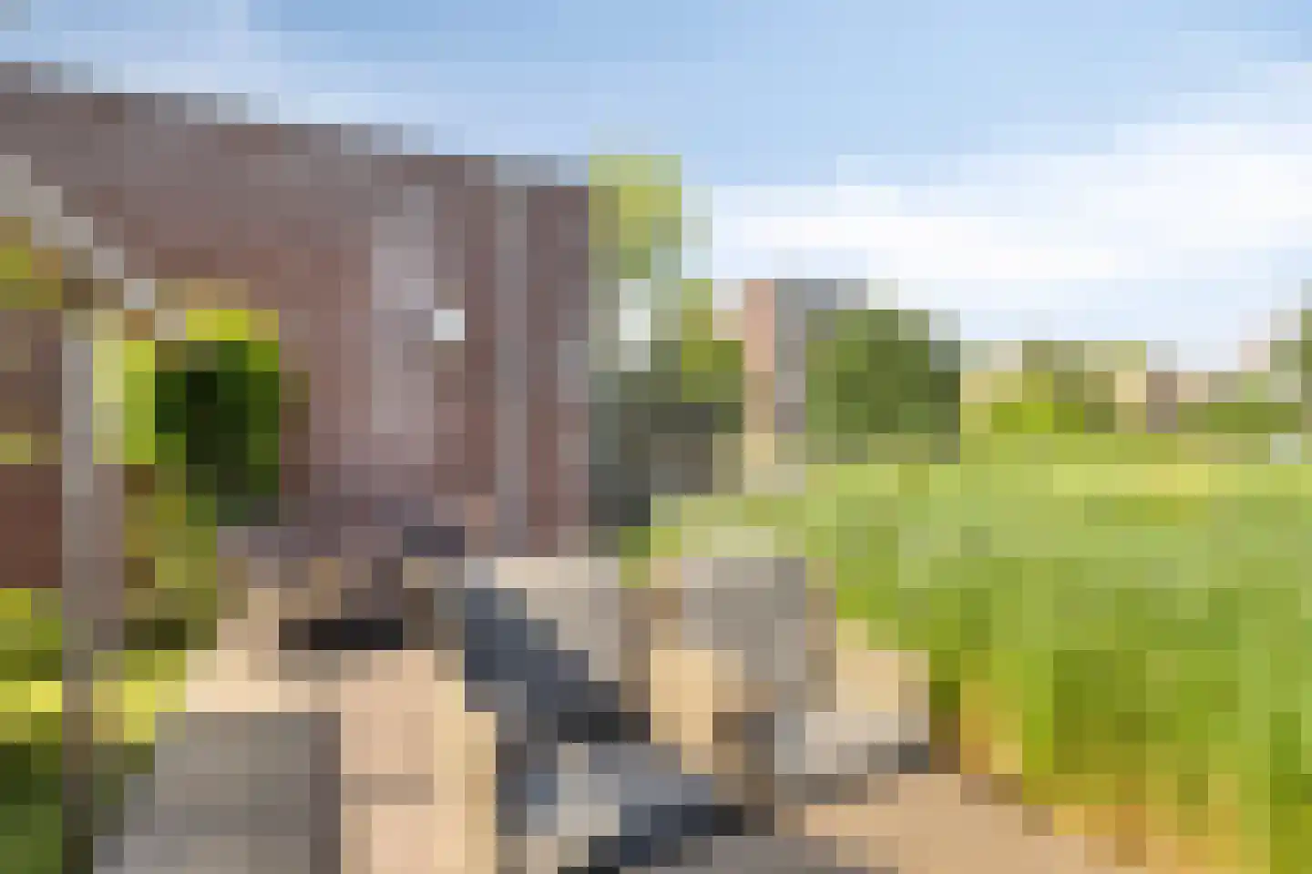 Maasdijk 61 Breda thumbnail 37