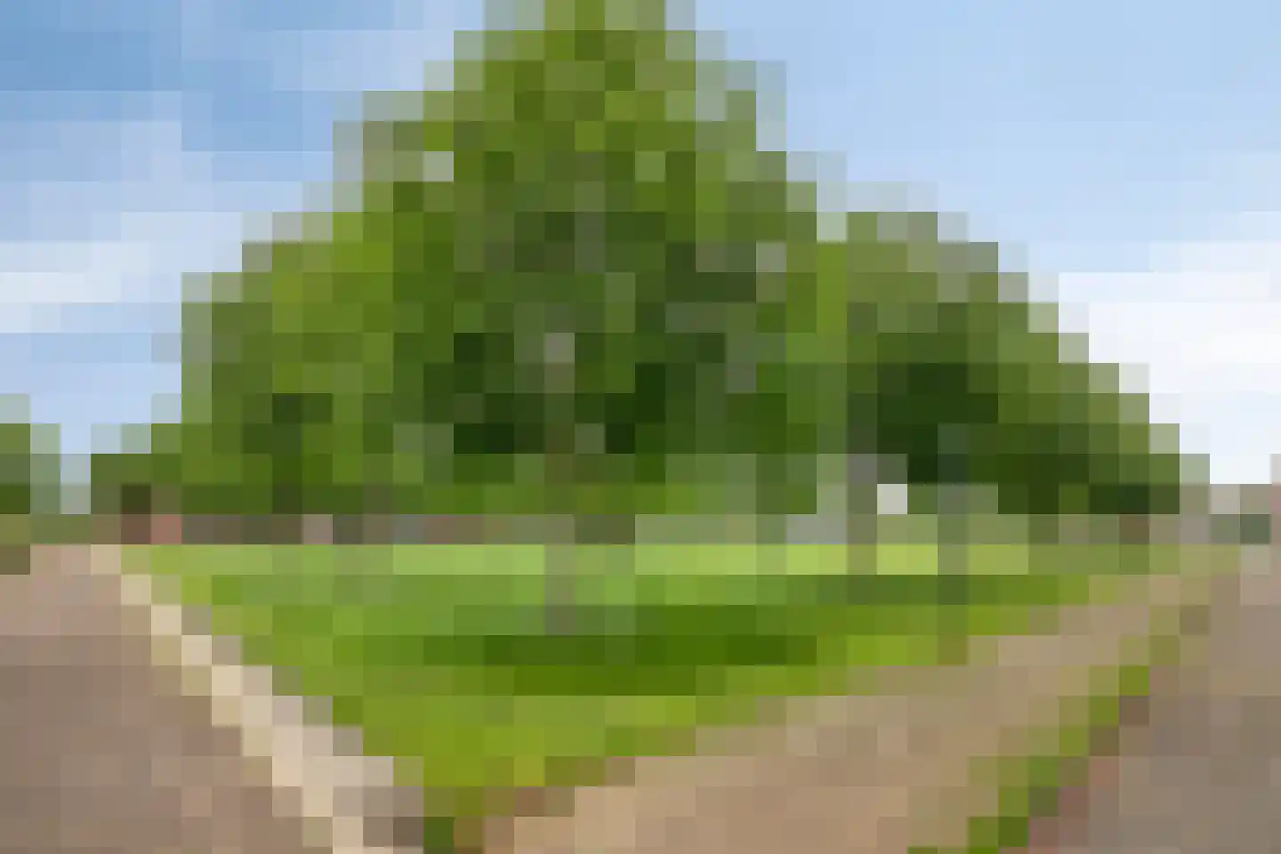 Maasdijk 61 Breda thumbnail 45