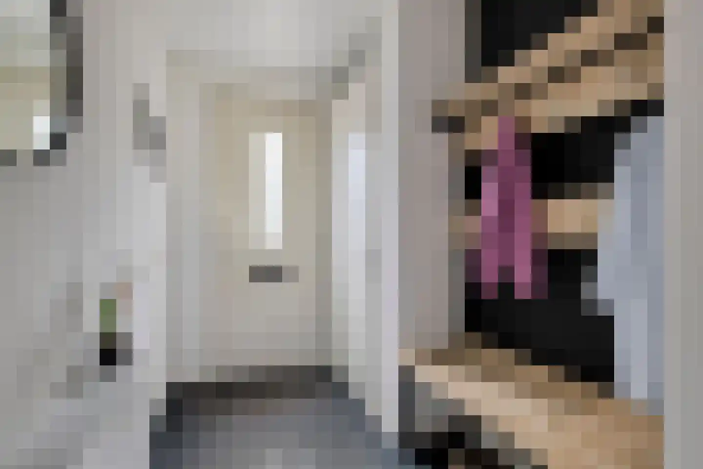 Maasdijk 61 Breda thumbnail 8