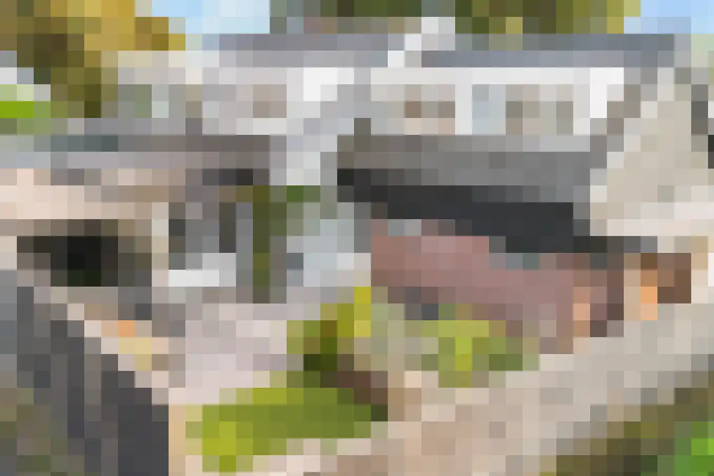 Maasdijk 63 's-Gravenzande thumbnail 16