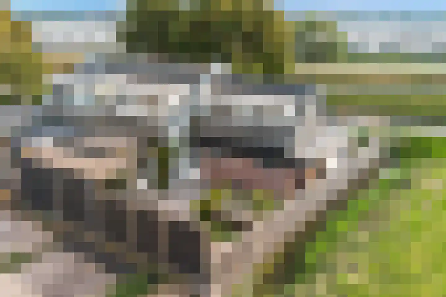 Maasdijk 63 's-Gravenzande thumbnail 17