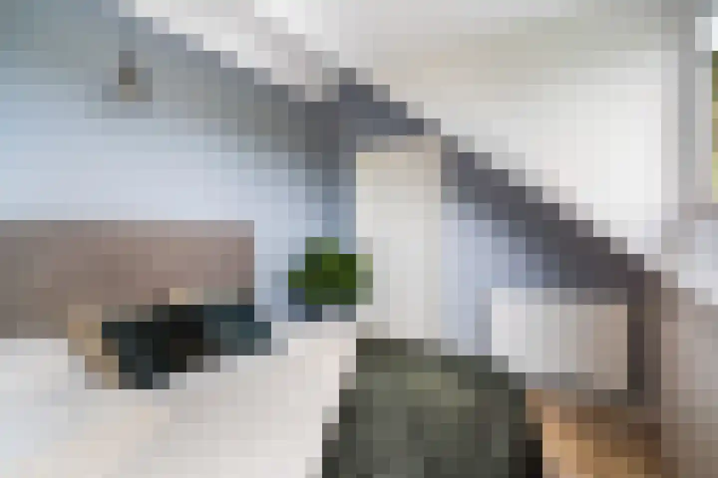 Maasdijk 63 's-Gravenzande thumbnail 29