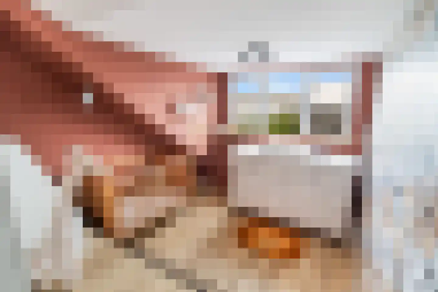 Maasdijk 63 's-Gravenzande thumbnail 39