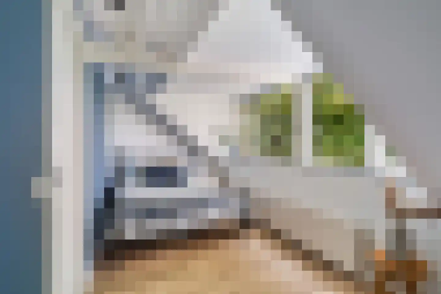Maasdijk 63 's-Gravenzande thumbnail 44