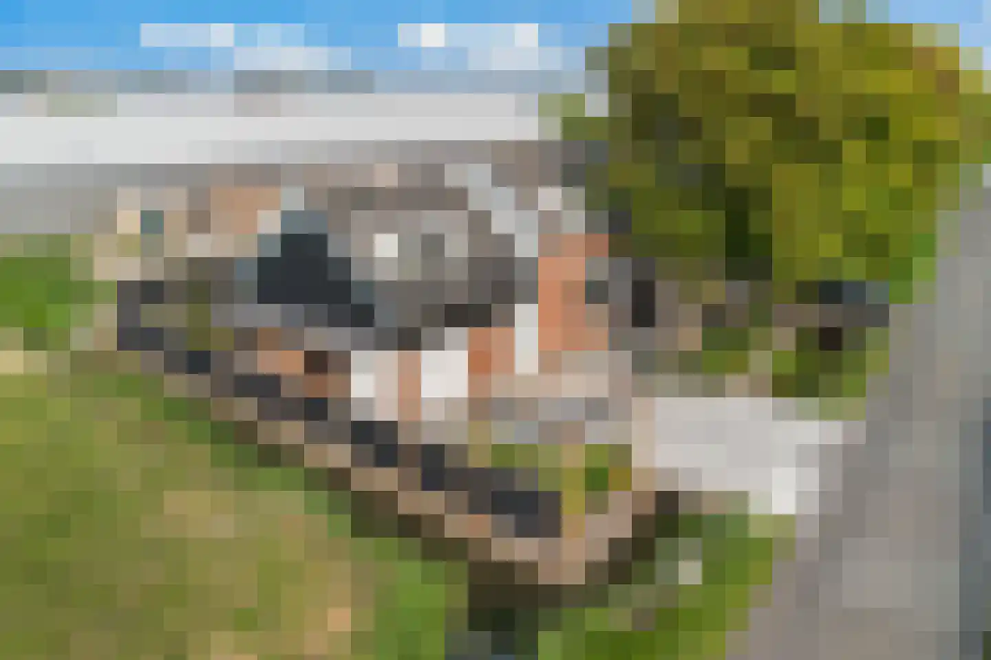 Maasdijk 63 's-Gravenzande thumbnail 48