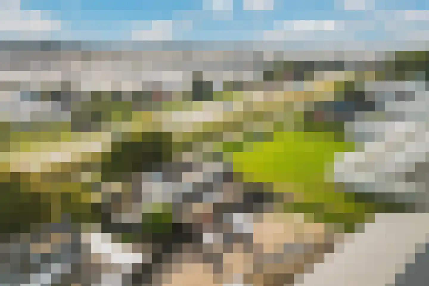Maasdijk 63 's-Gravenzande thumbnail 50