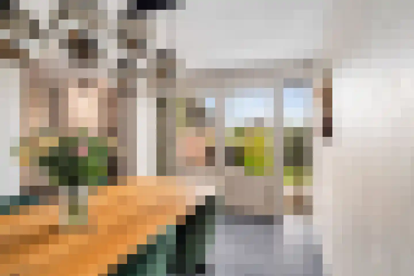 Maasdijk 63 's-Gravenzande thumbnail 7