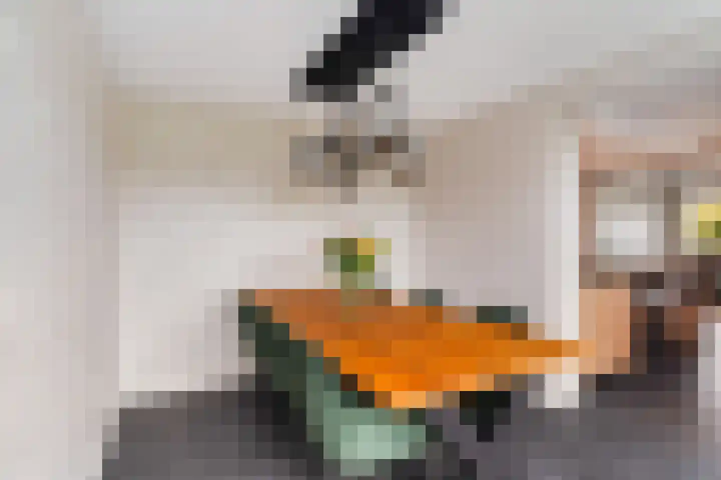 Maasdijk 63 's-Gravenzande thumbnail 8
