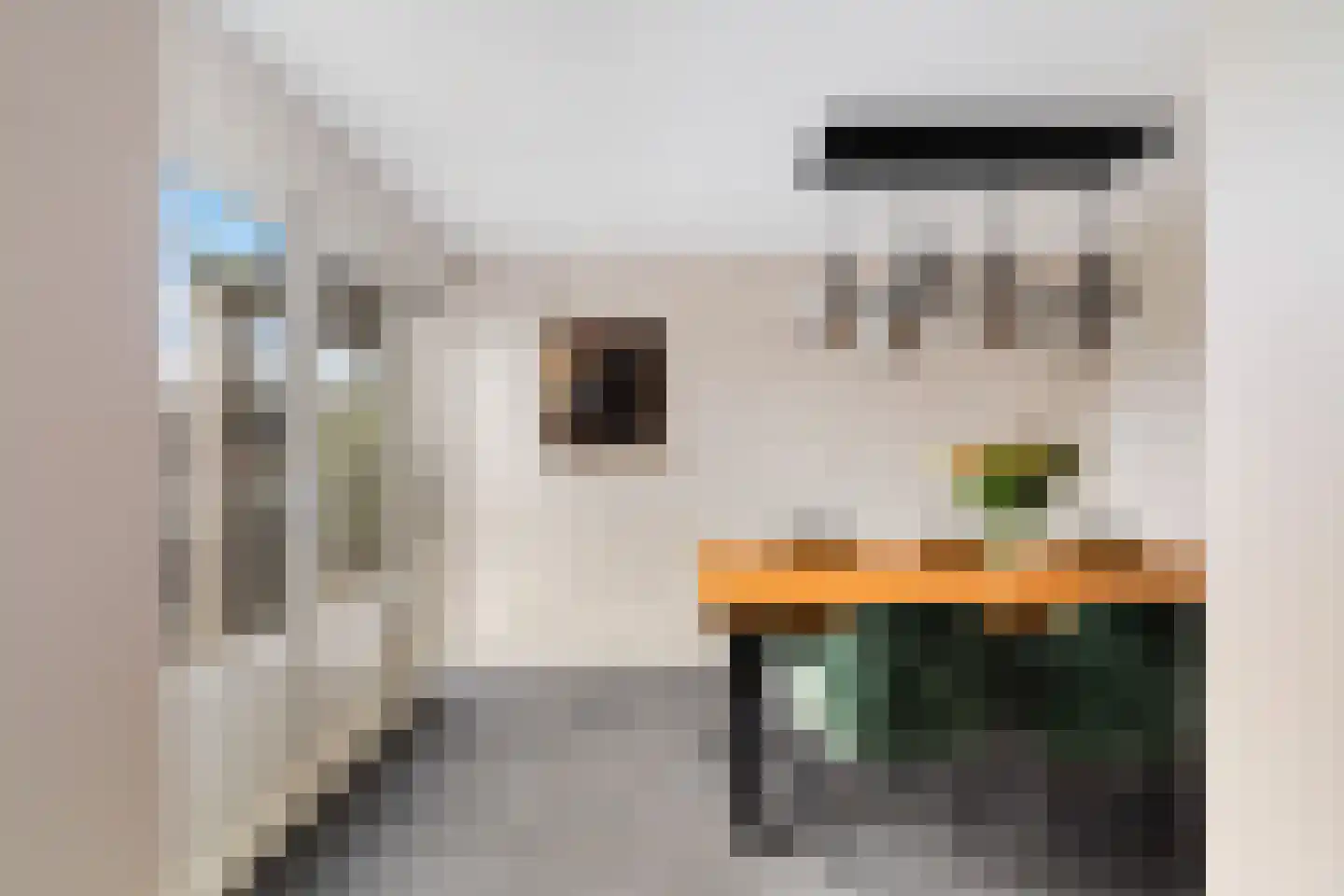 Maasdijk 63 's-Gravenzande thumbnail 9
