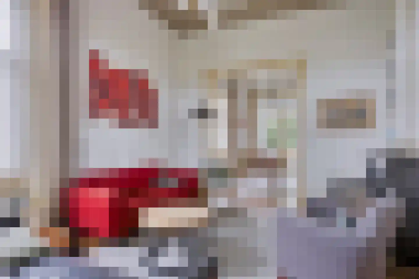 Maasdijk 68 Demen thumbnail 10