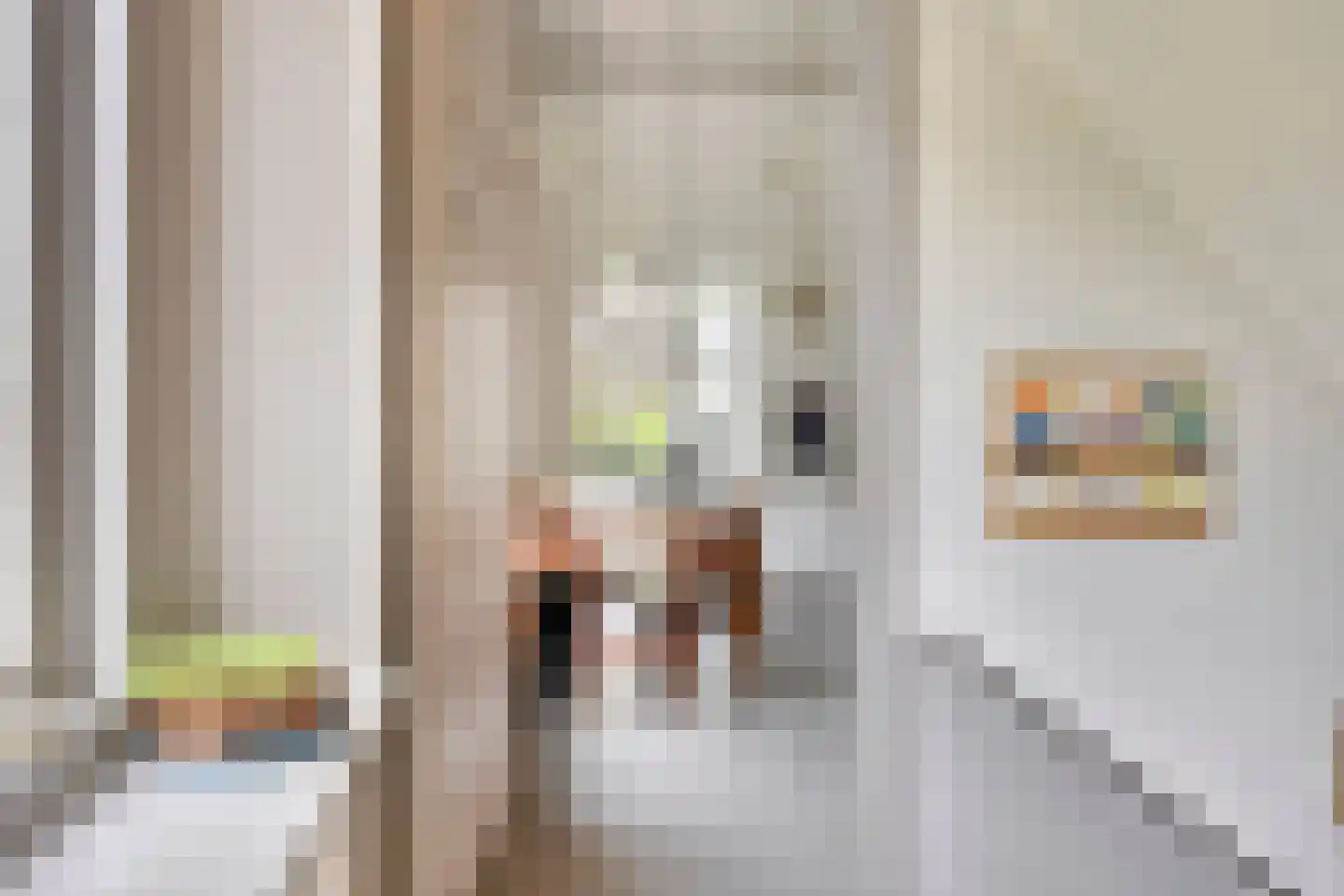 Maasdijk 68 Demen thumbnail 11