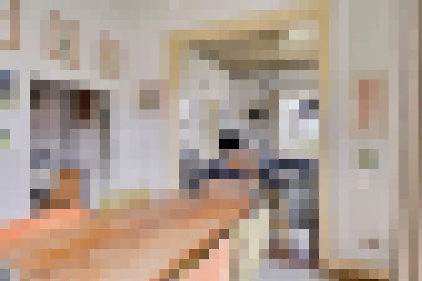 Maasdijk 68 Demen thumbnail 12