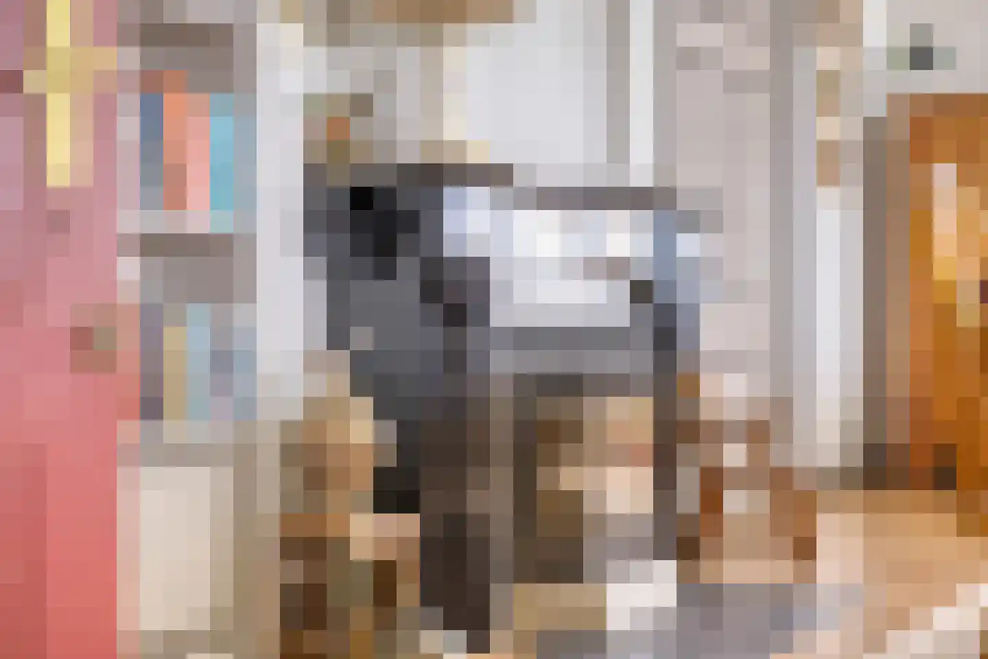 Maasdijk 68 Demen thumbnail 14