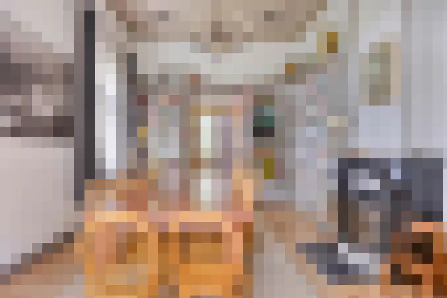 Maasdijk 68 Demen thumbnail 15