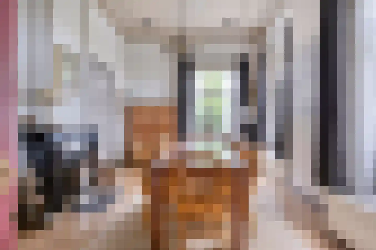 Maasdijk 68 Demen thumbnail 16