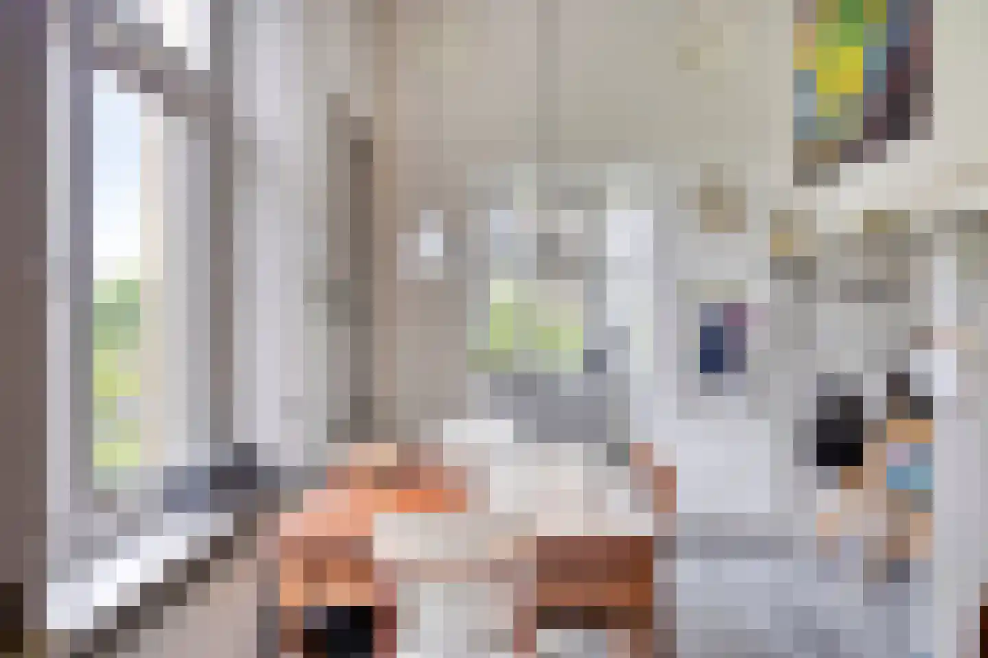 Maasdijk 68 Demen thumbnail 17