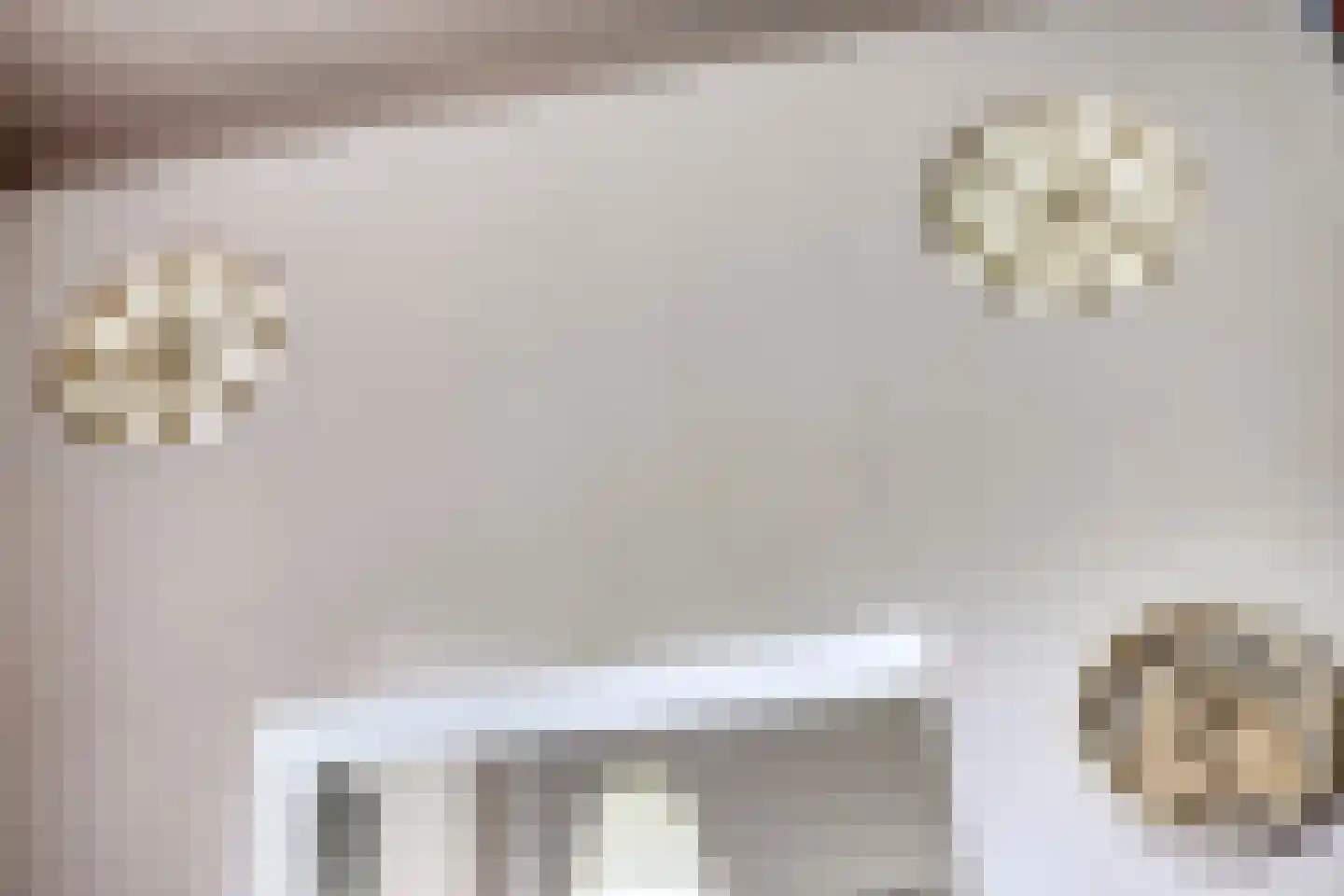 Maasdijk 68 Demen thumbnail 18