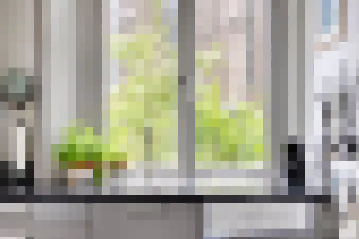 Maasdijk 68 Demen thumbnail 23