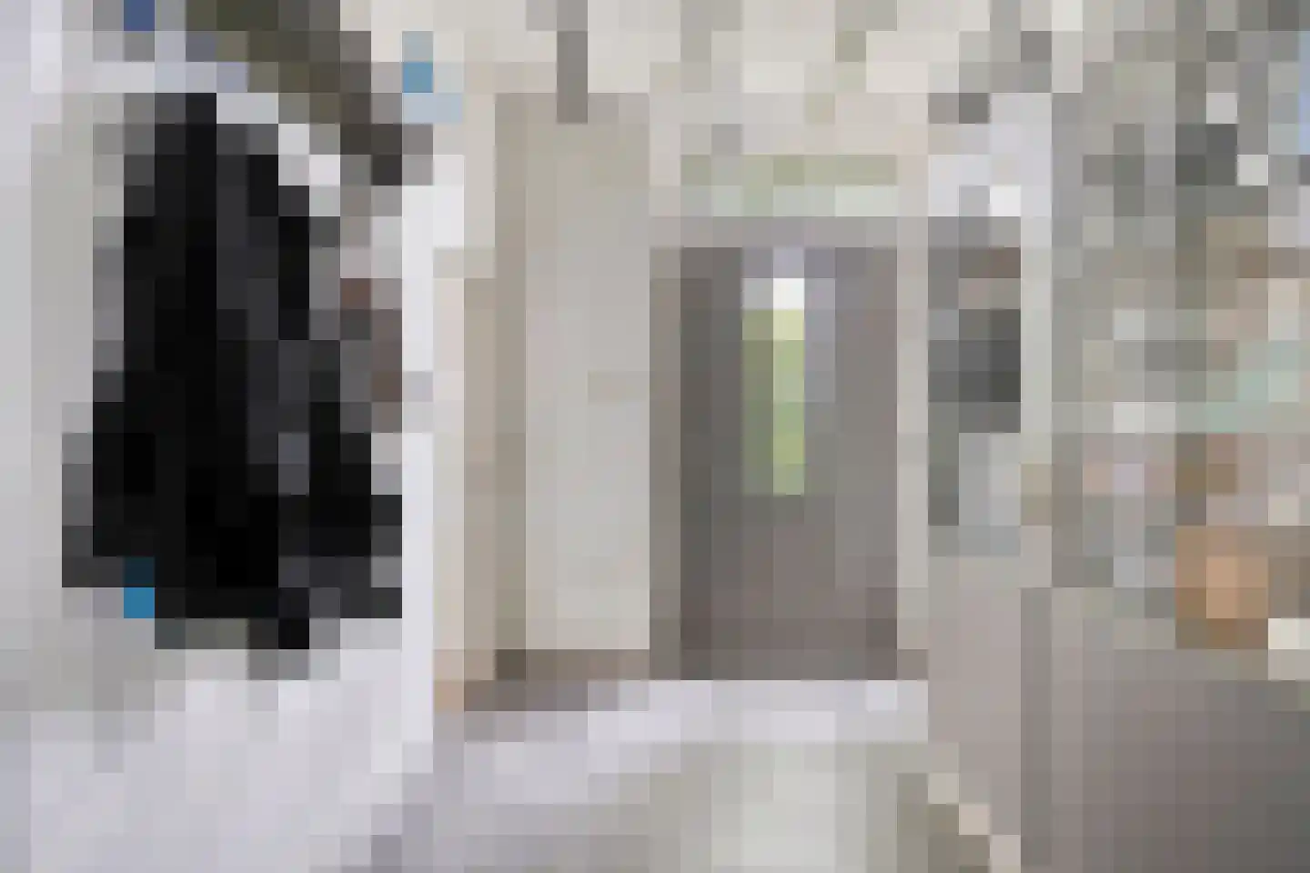 Maasdijk 68 Demen thumbnail 25
