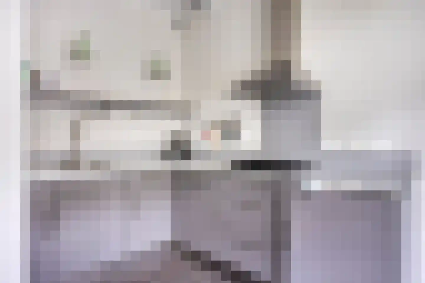 Maasdijk 68 Demen thumbnail 27