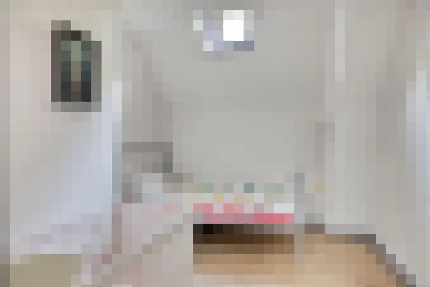 Maasdijk 68 Demen thumbnail 42