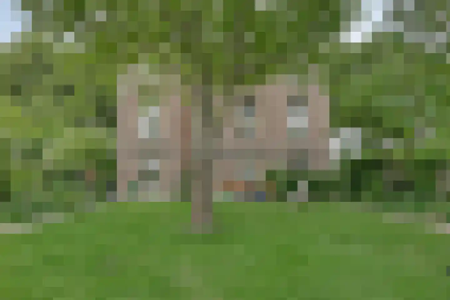 Maasdijk 68 Demen thumbnail 47