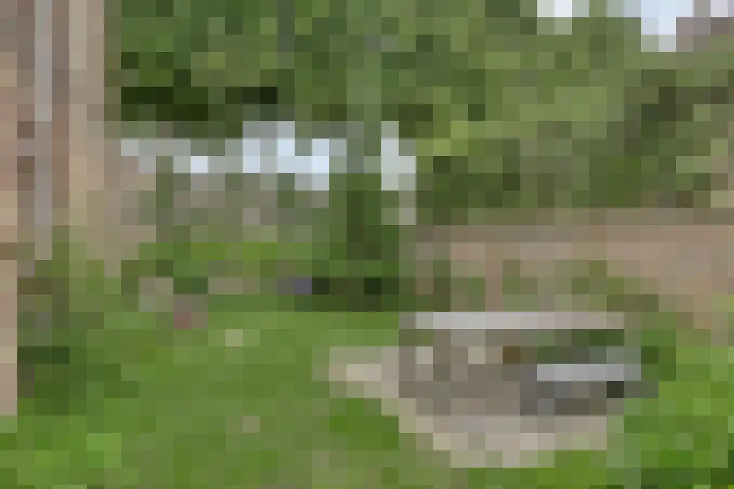 Maasdijk 68 Demen thumbnail 48