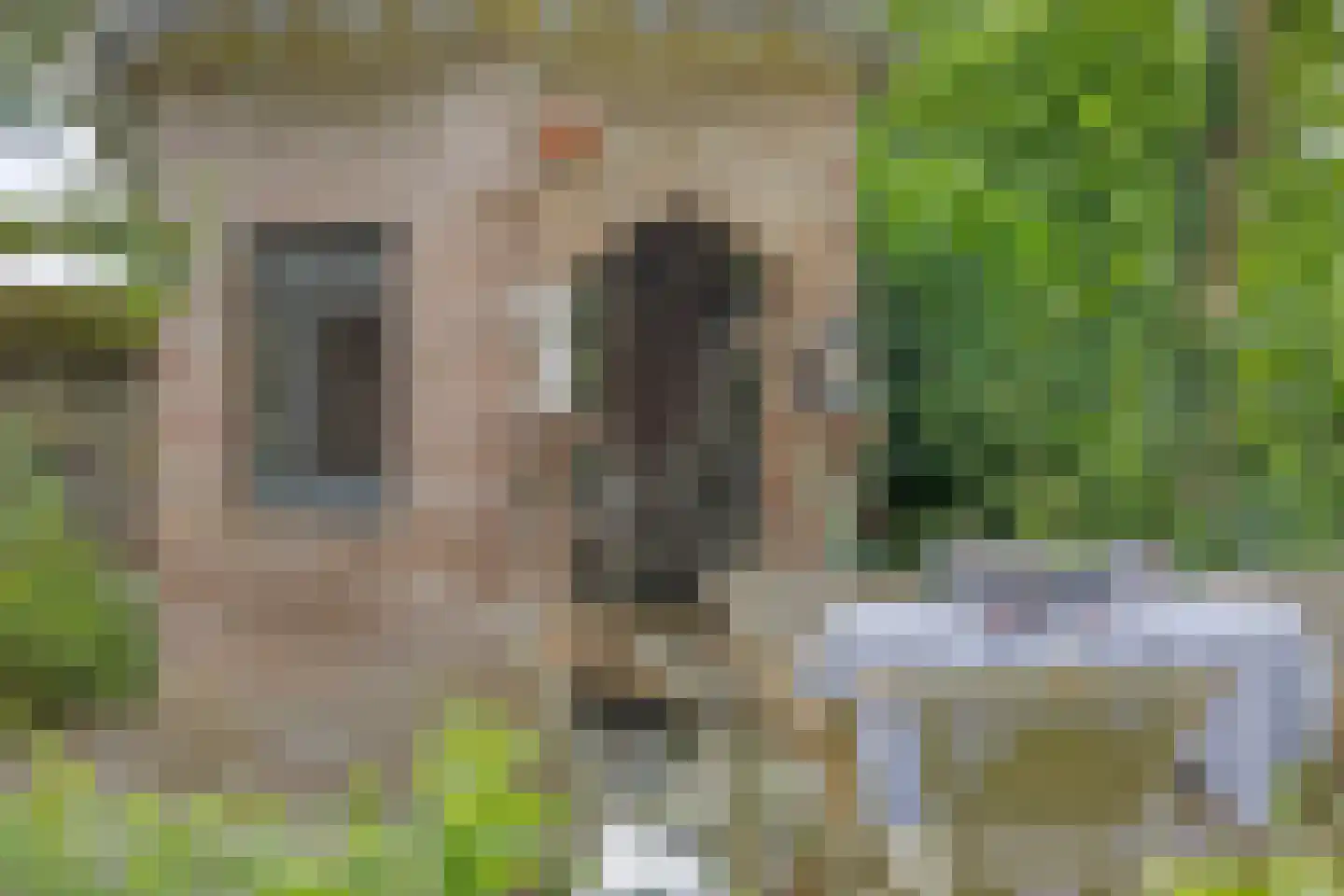 Maasdijk 68 Demen thumbnail 50
